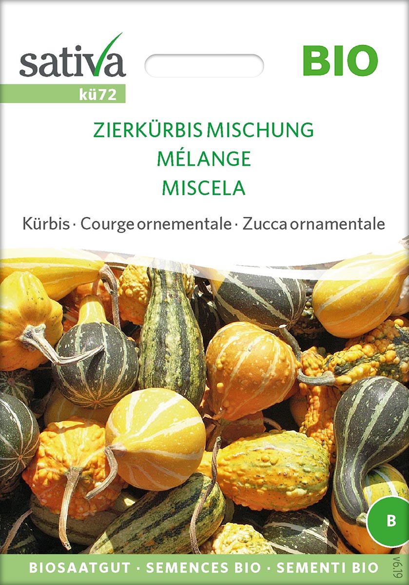 Saatgut Zierkürbis Mischung -S-