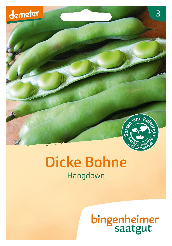 Saatgut Dicke Bohne Hangdown -B-