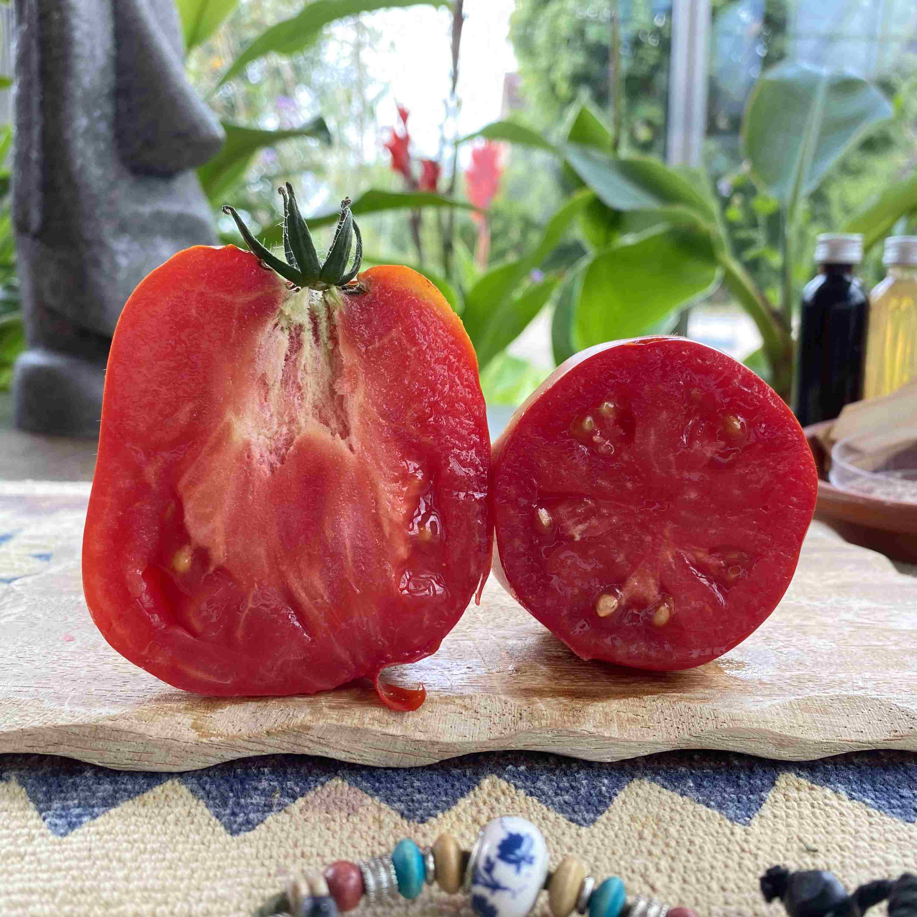 Tomatensaatgut Cœur de Bœuf de Nice