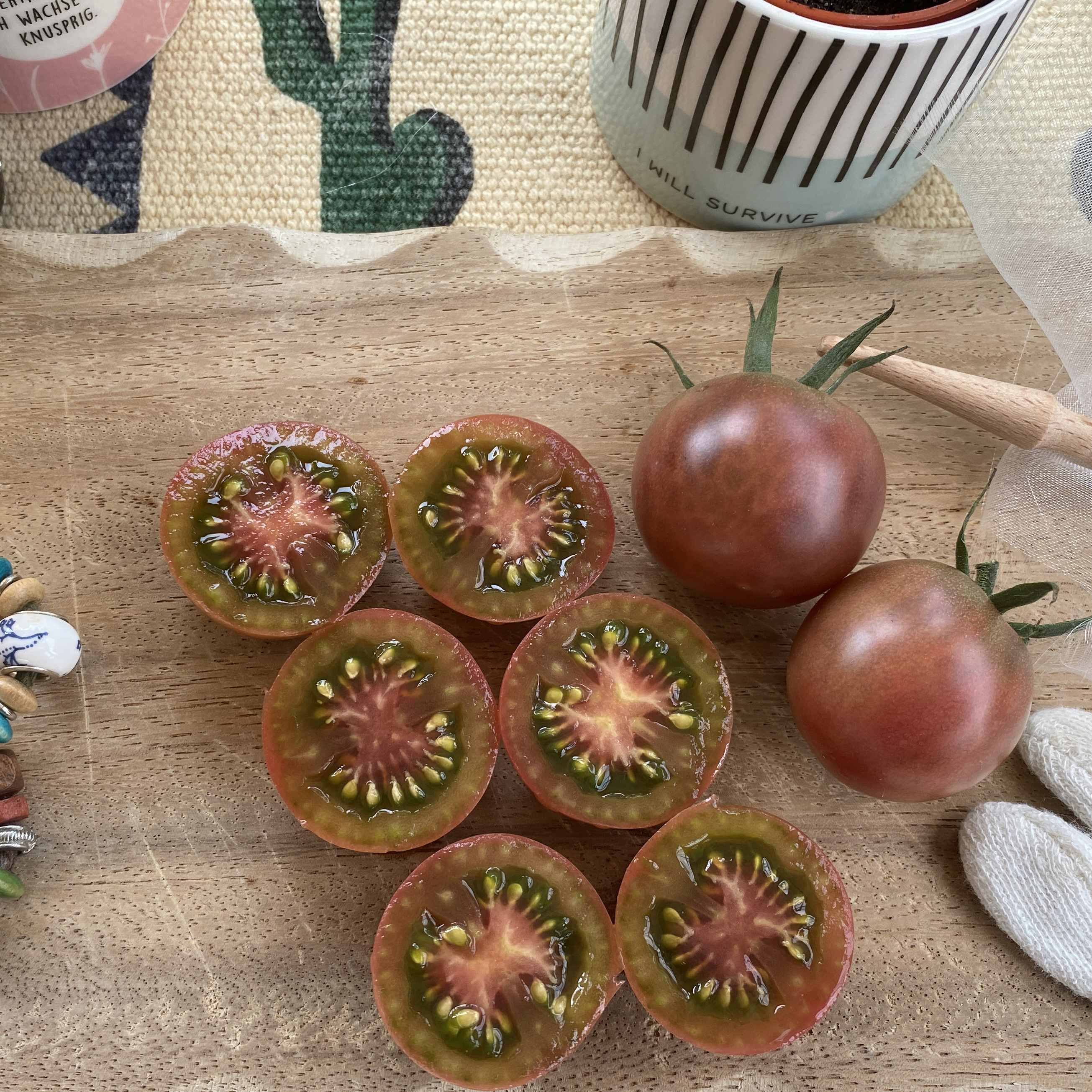 Tomatensaatgut Black Cherry