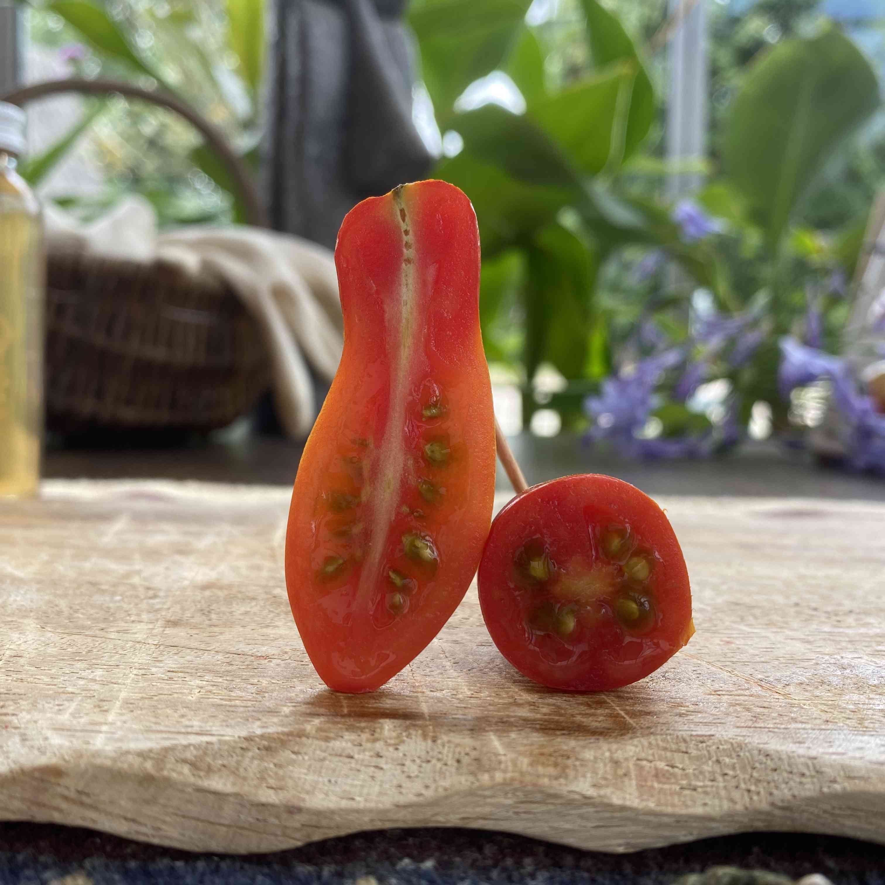 Tomatensaatgut Amphorentomate