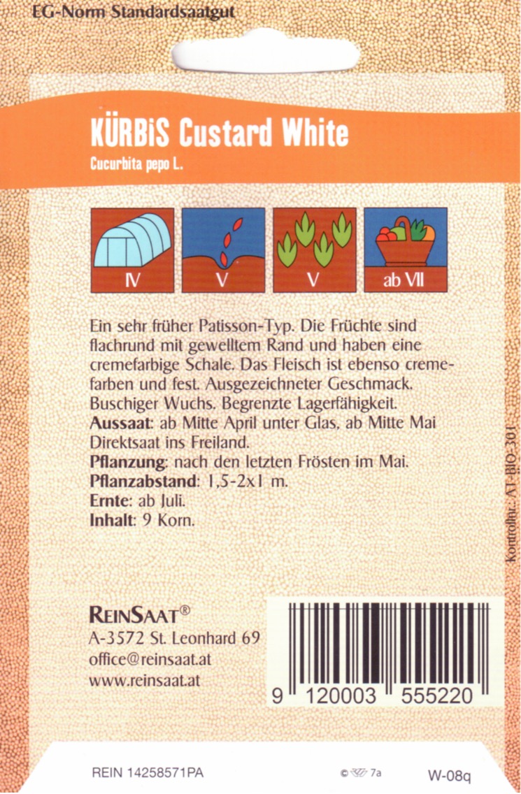 Saatgut Kürbis UFO Patisson -R-