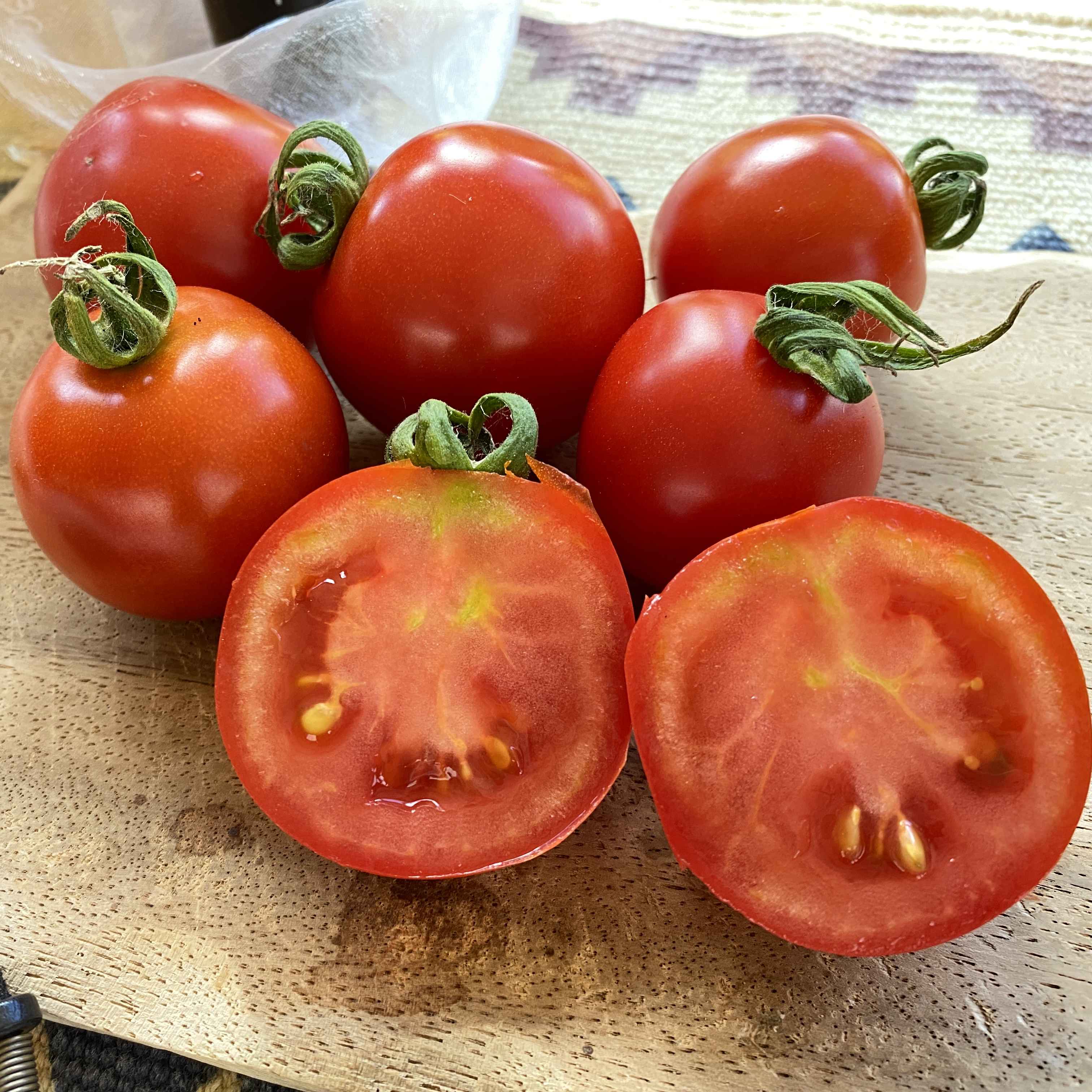 Tomatensaatgut Iris