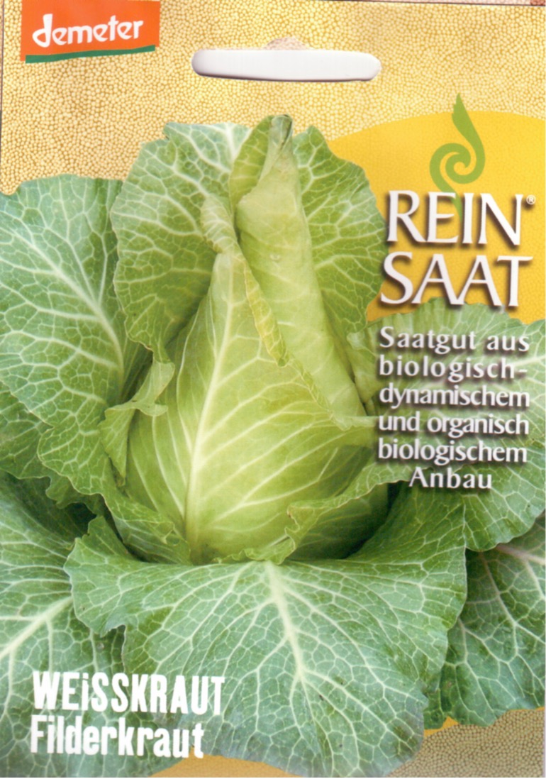 Saatgut Spitzkohl Filderkraut -R-