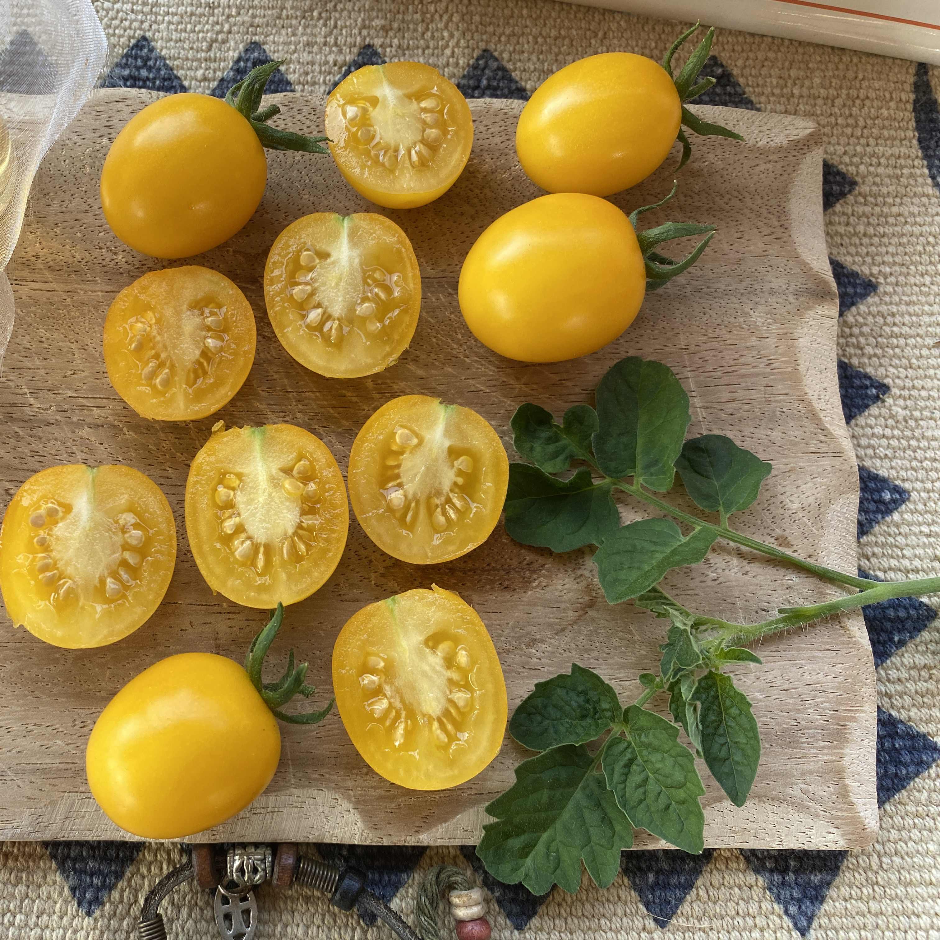 Tomatensaatgut Katinka