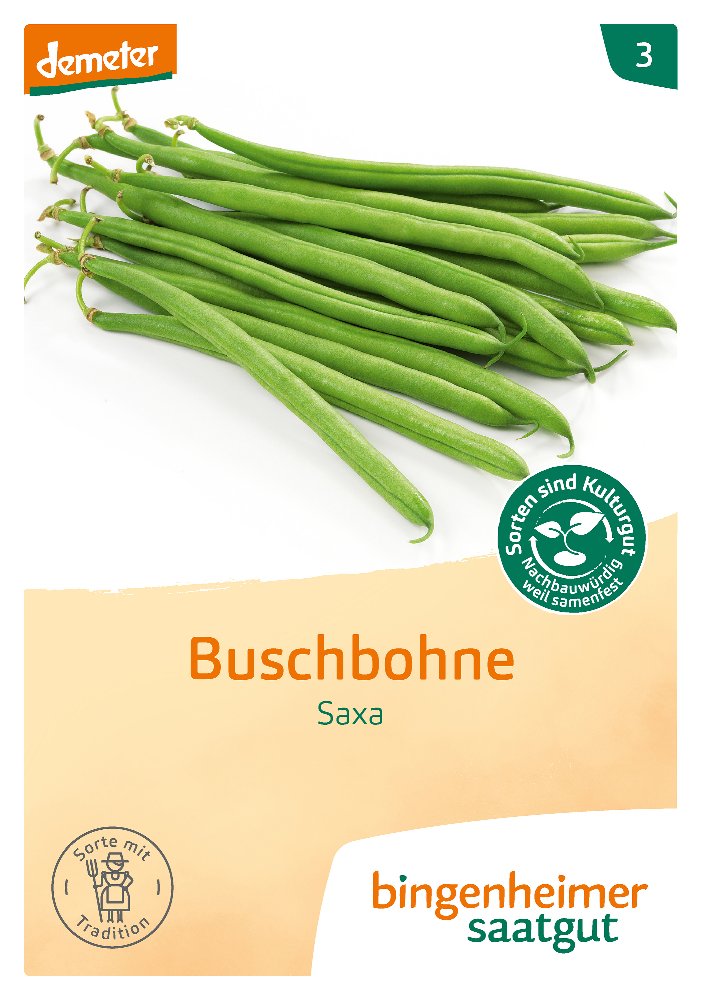 Saatgut Buschbohne Saxa -B-