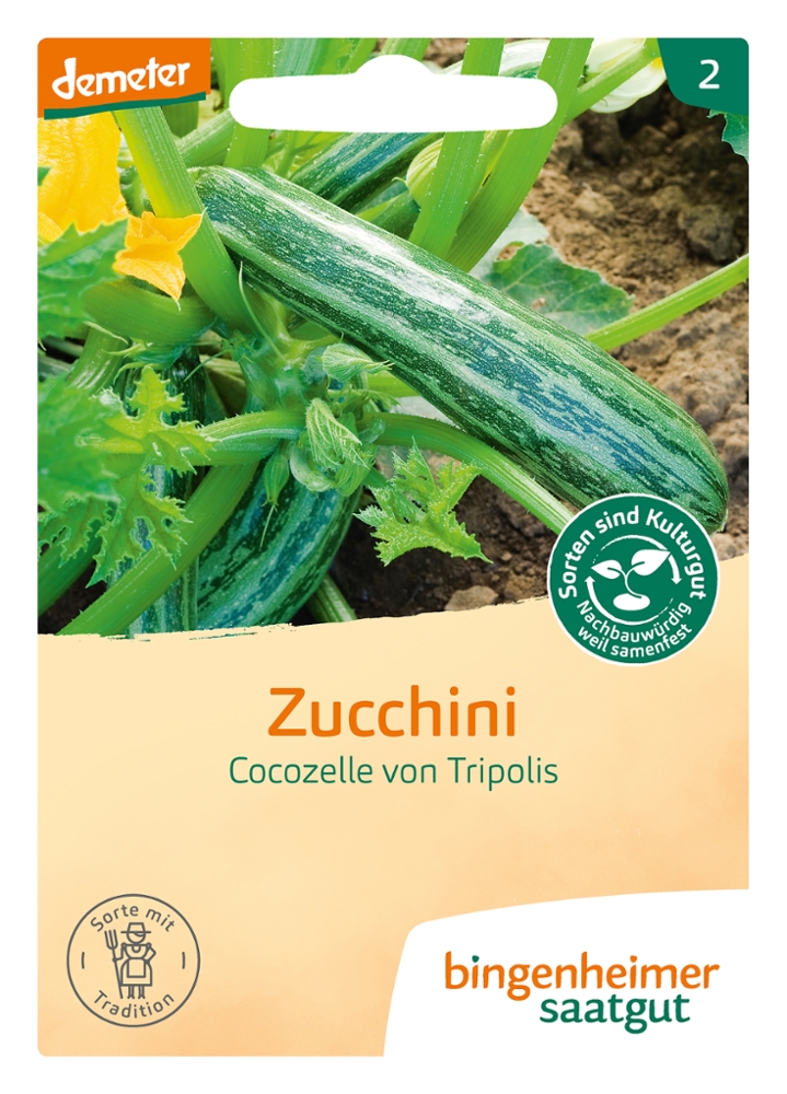 Saatgut Cocozelle von Tripolis -B- 