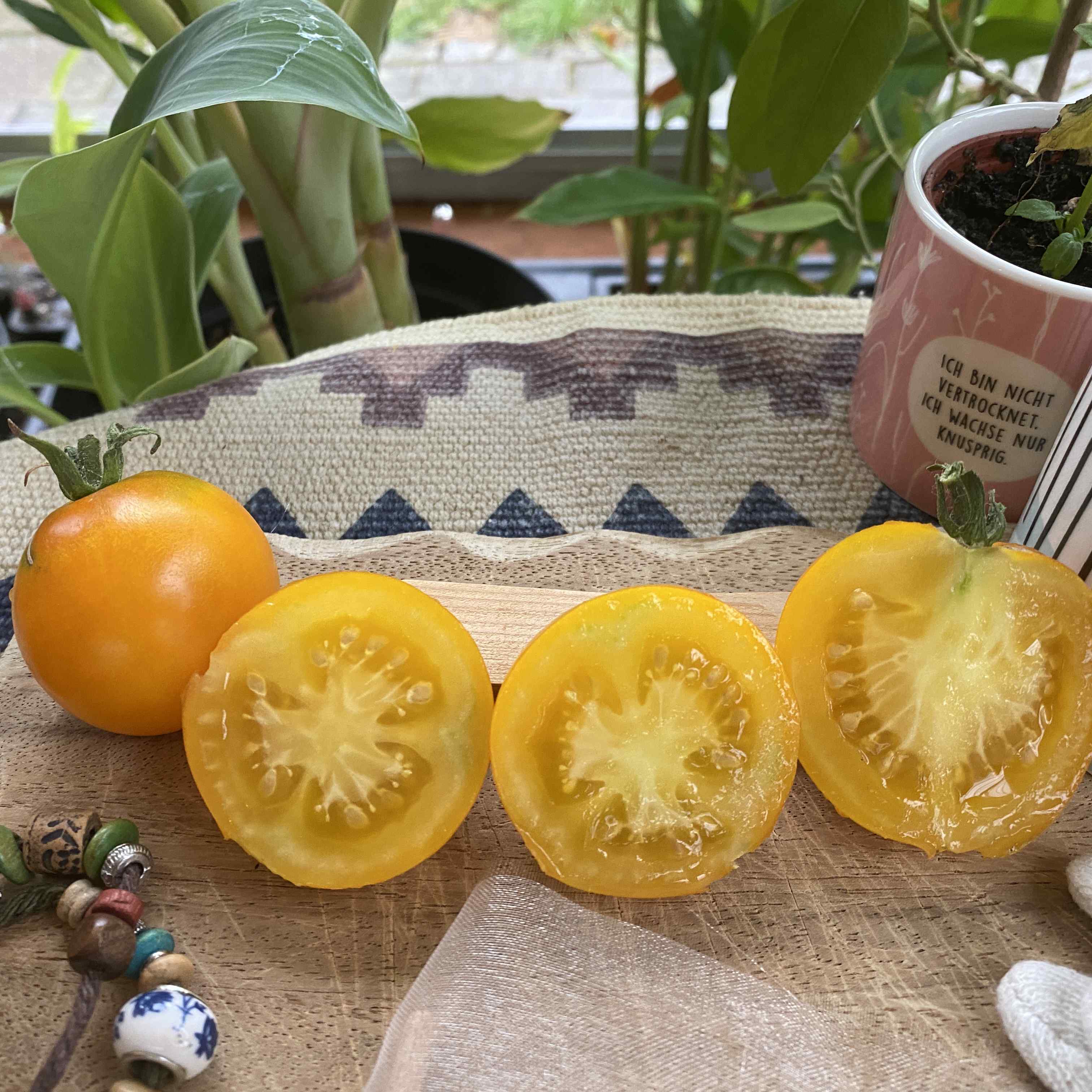 Tomatensaatgut Goldene Königin