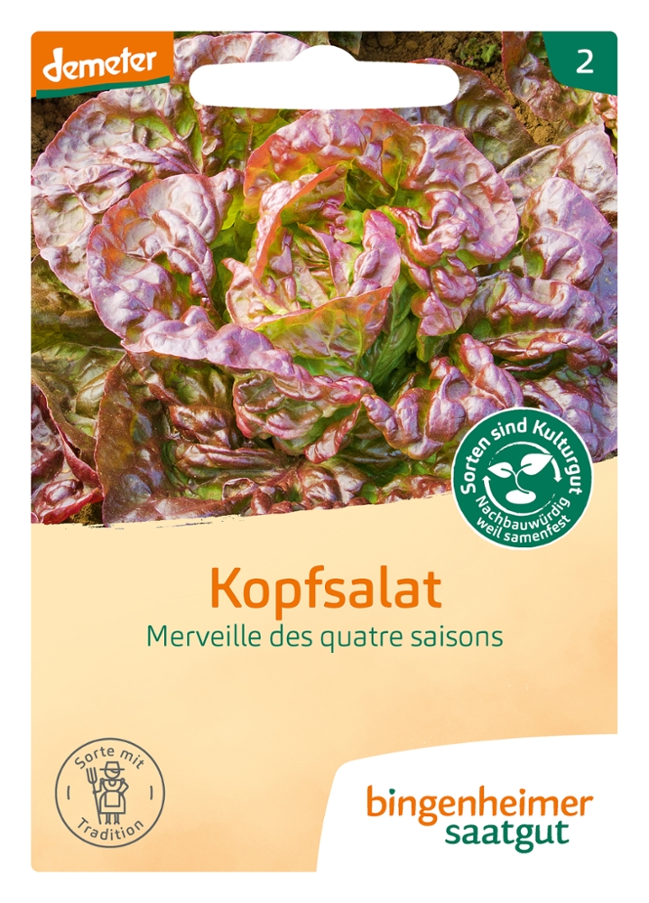 Kopfsalat Merveille des quatre saisons -B-