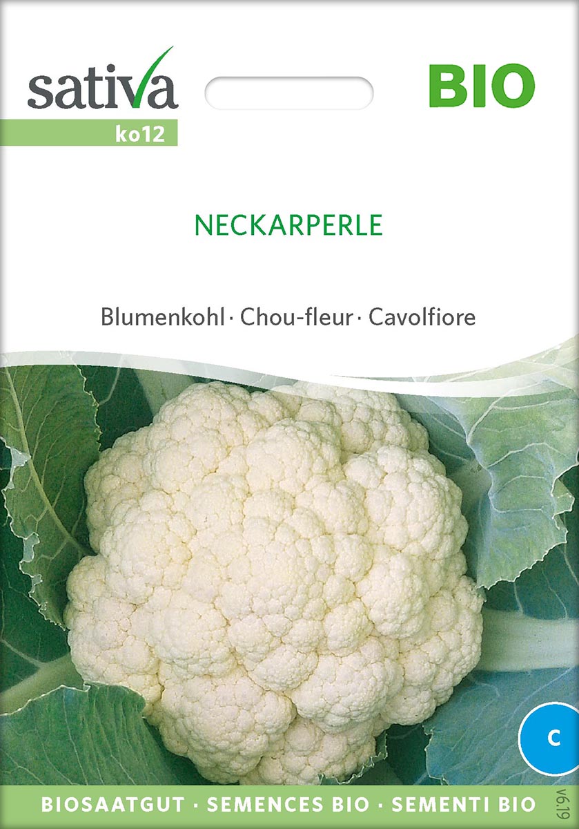 Saatgut Blumenkohl Neckarperle -S-