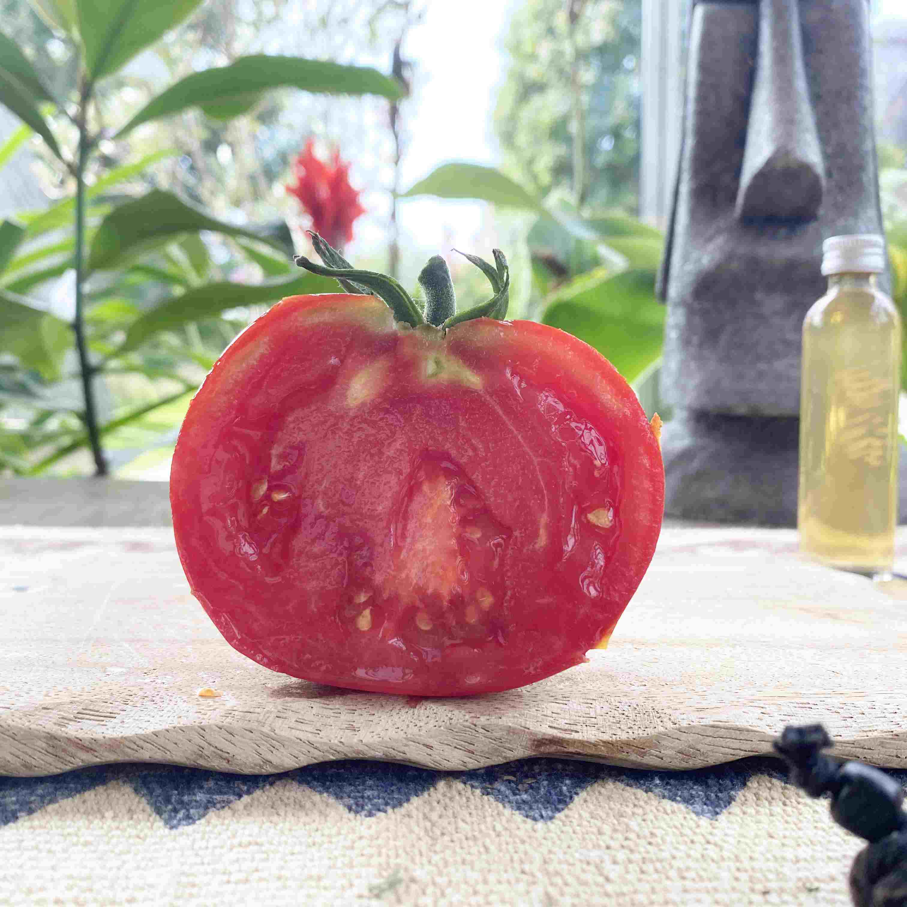 Tomatensaatgut Reine de Saint Marthe