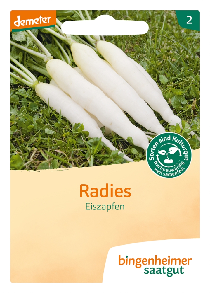 Radies Eiszapfen -B-