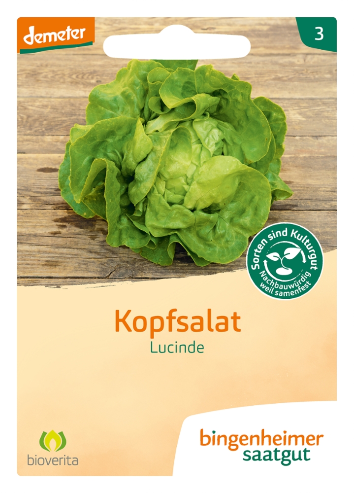 Saatgut Kopfsalat Lucinde -B-