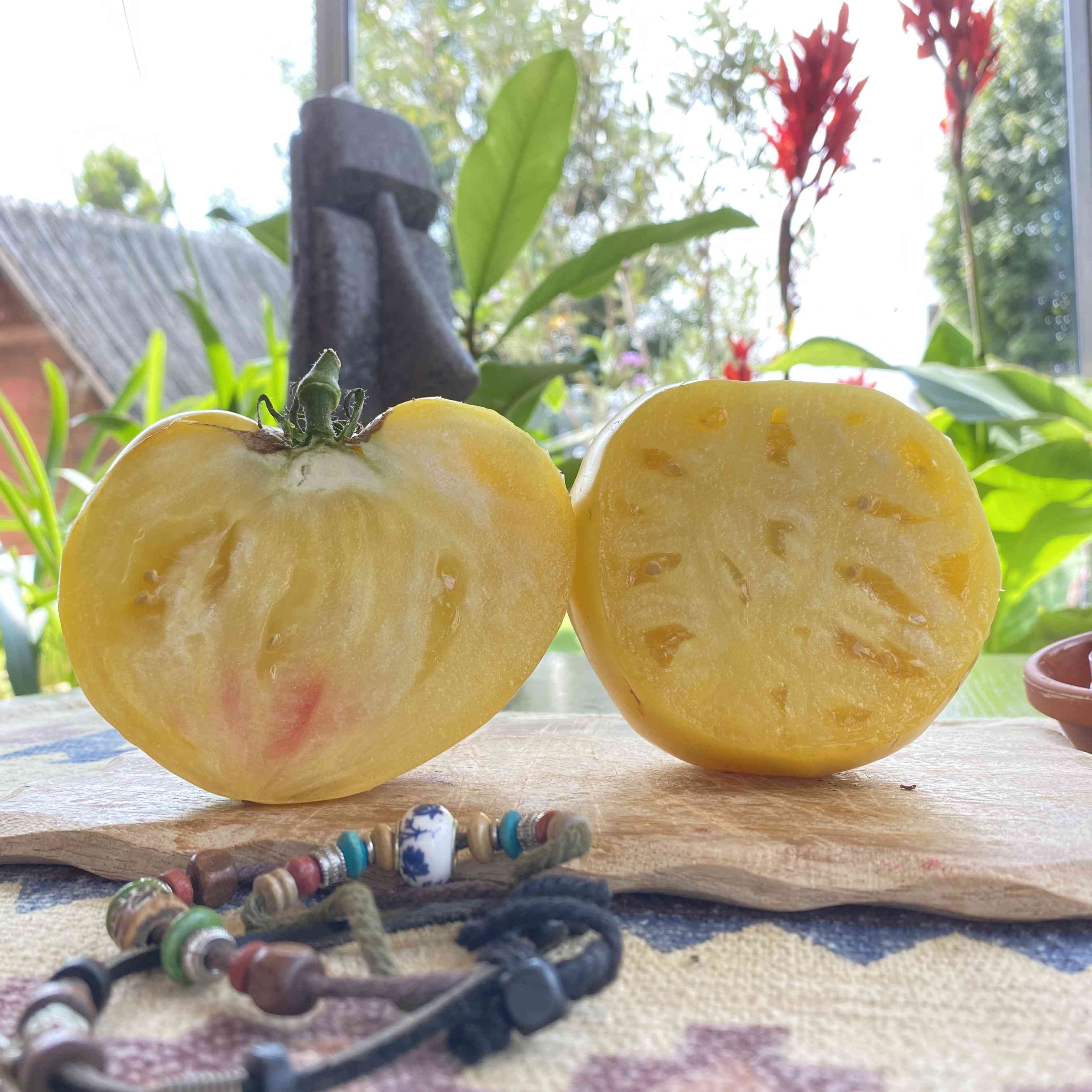 Tomatensaatgut Giant White Beefsteak