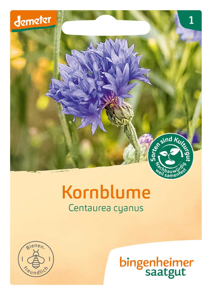 Saatgut Kornblume -B-