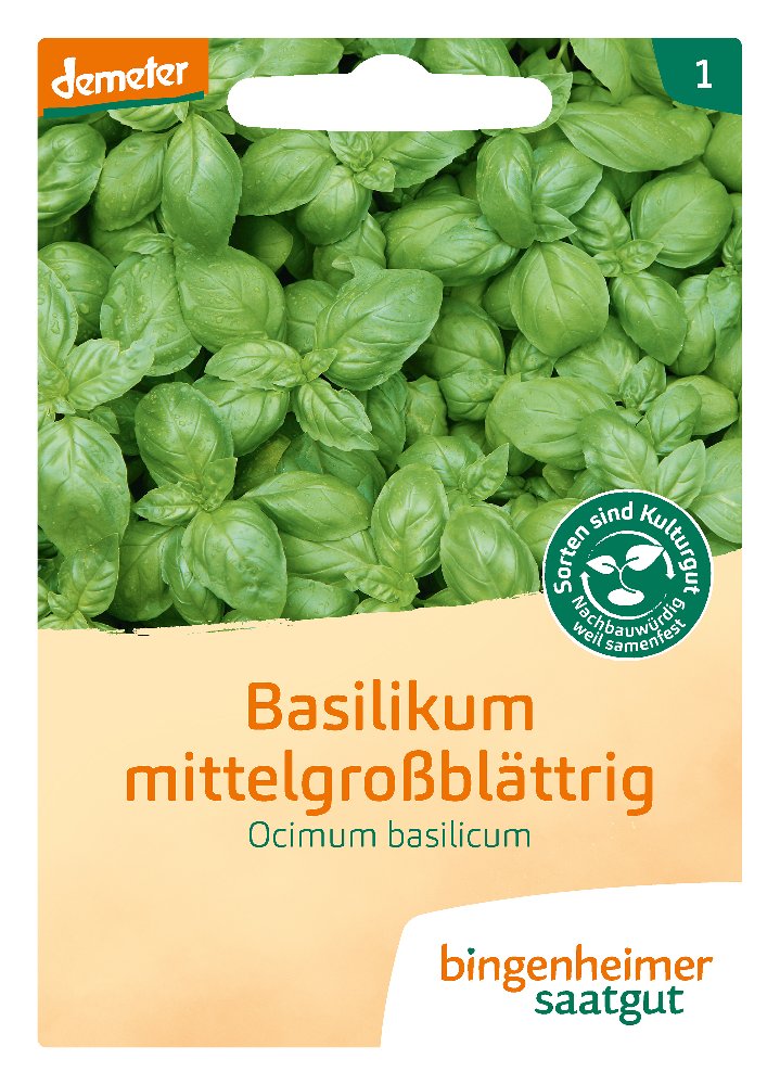 Saatgut Basilikum mittelgrossblättrig -B-