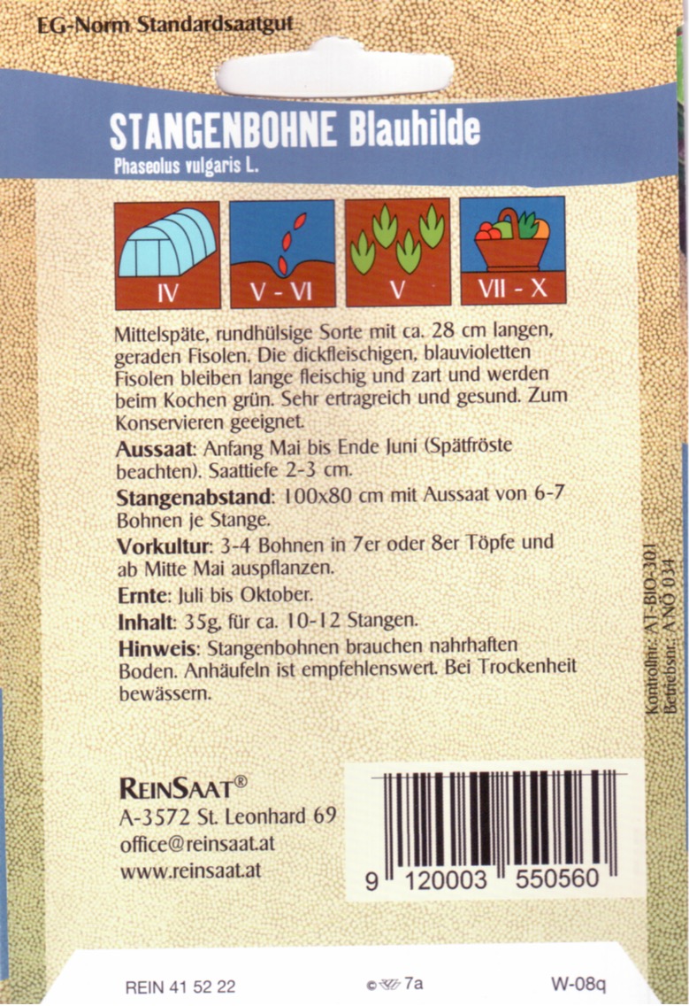 Saatgut Stangenbohne Blauhilde -R-