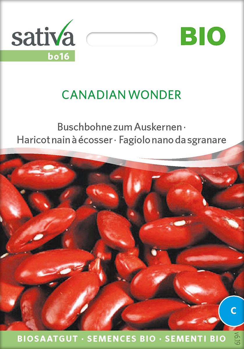 Saatgut Buschbohne Canadian Wonder -S- 