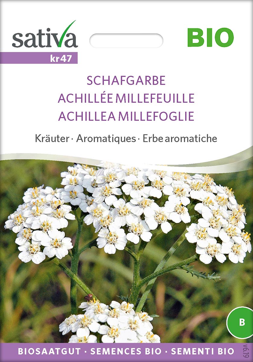 Saatgut Schafgarbe -S-