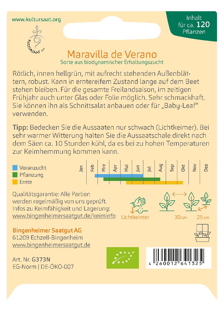 Saatgut Batavia Salat Maravilla Verano -B-