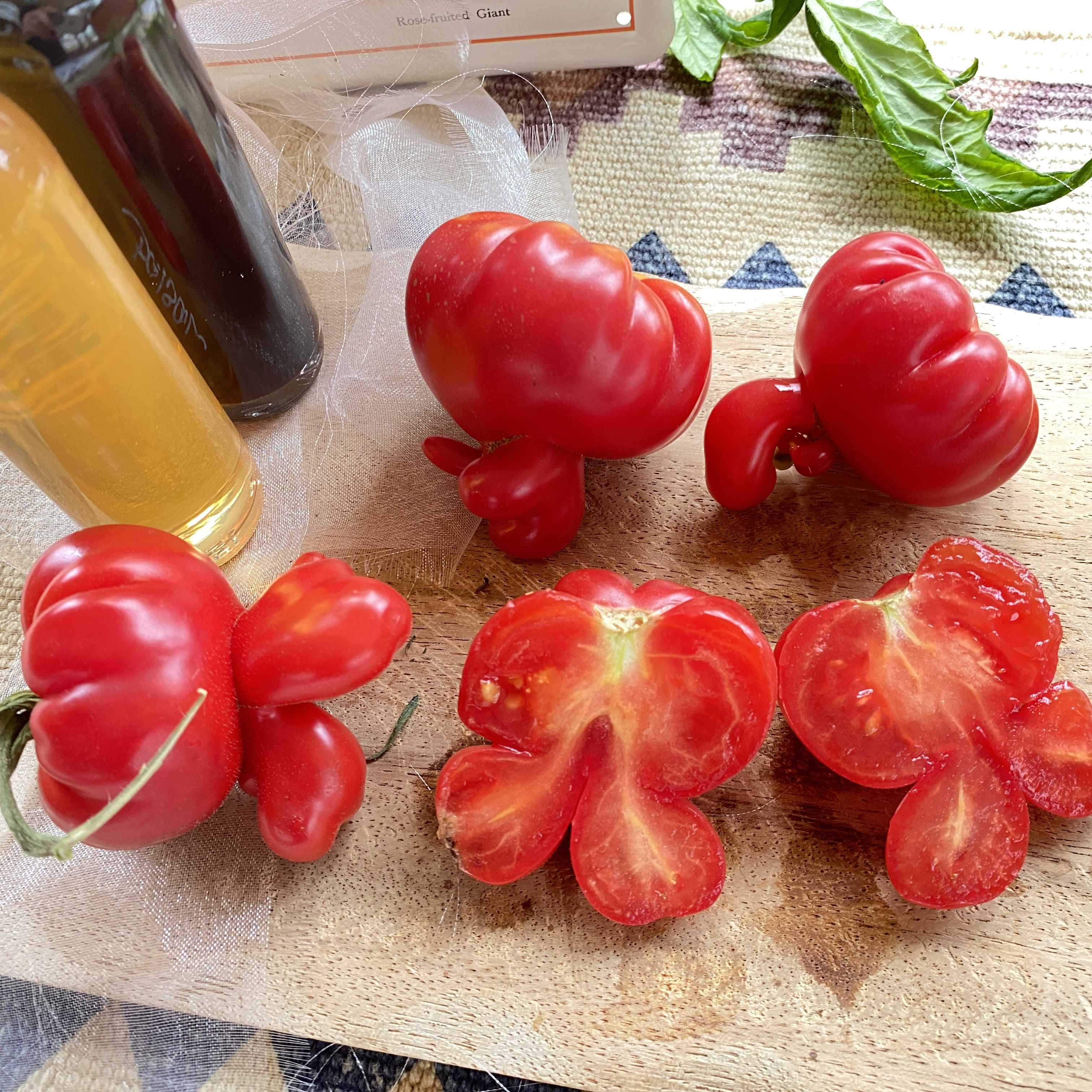 Tomatensaatgut Trèfle du Togo