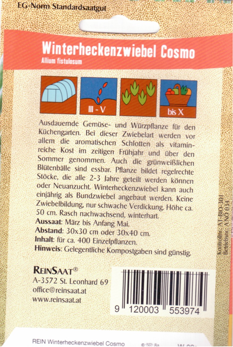Saatgut Lauchzwiebel Cosmo -R-