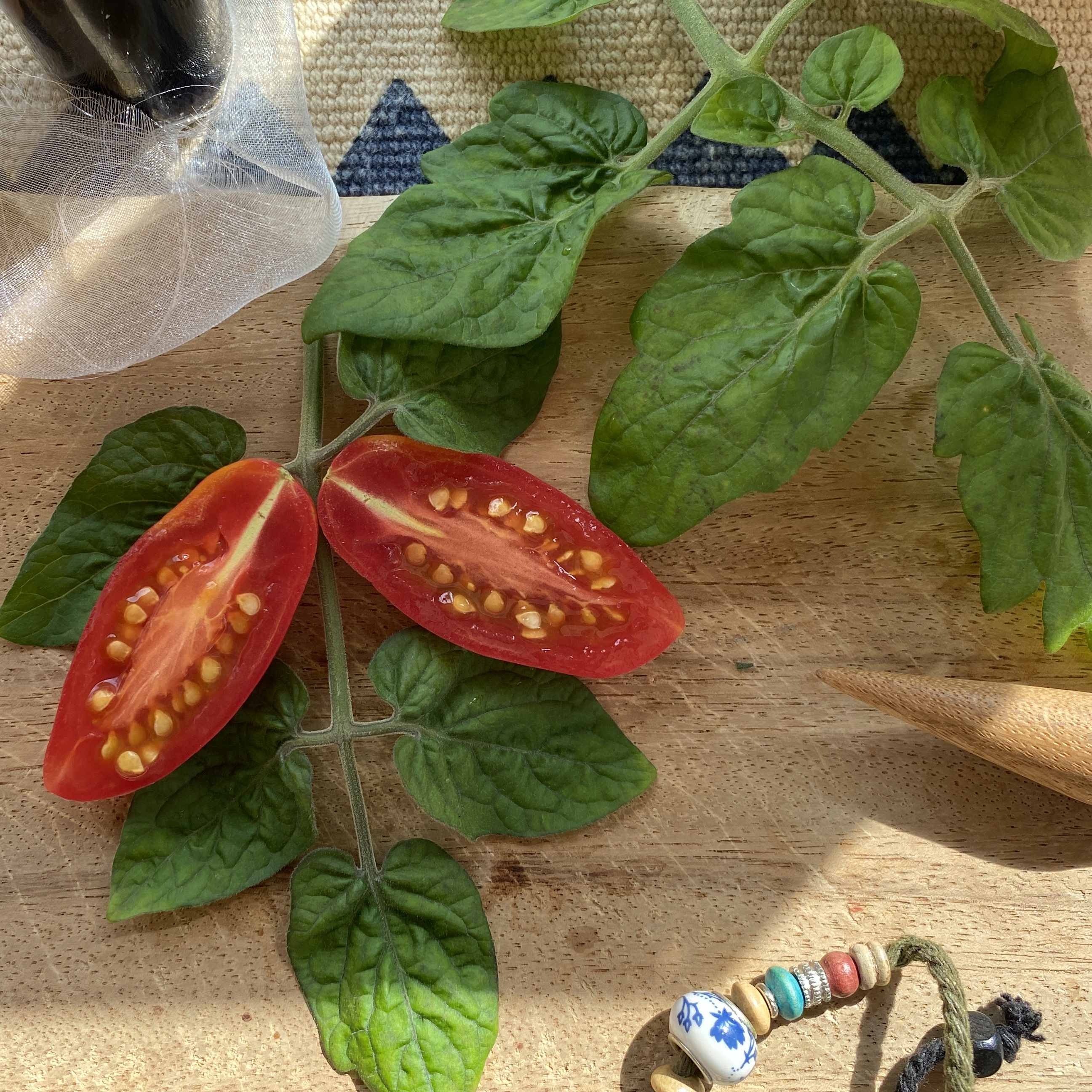 Tomatensaatgut Chilitomate