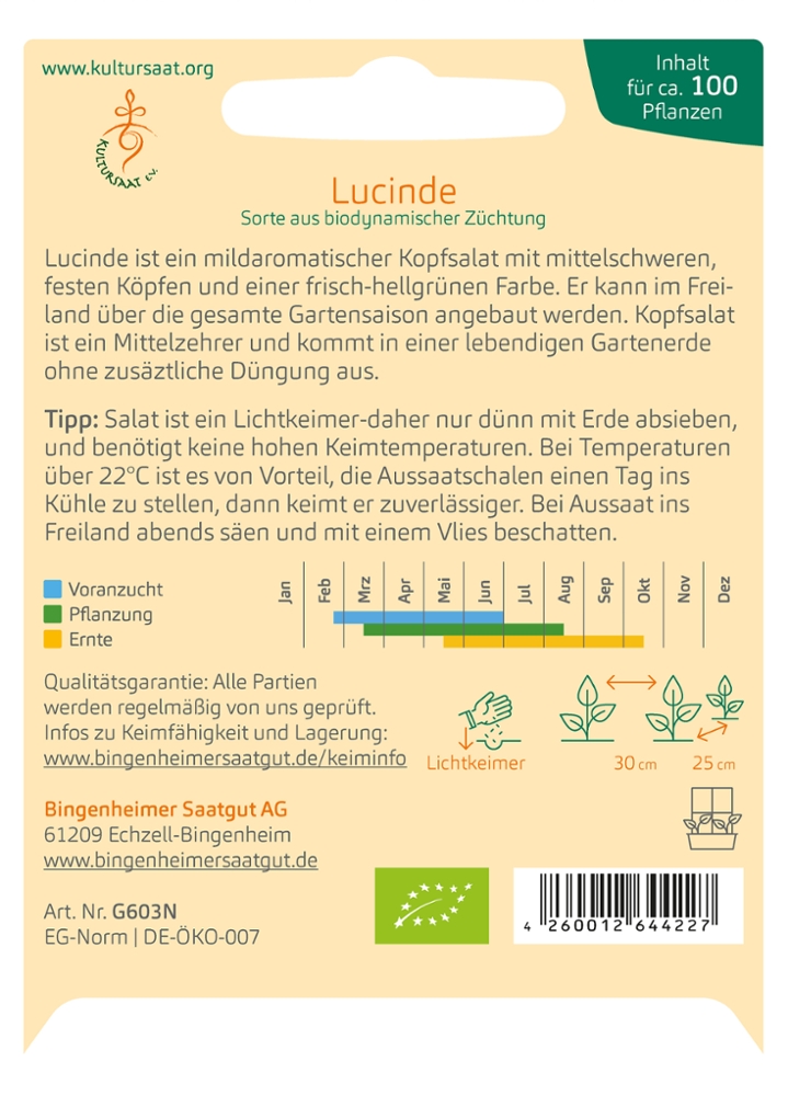 Saatgut Kopfsalat Lucinde -B-