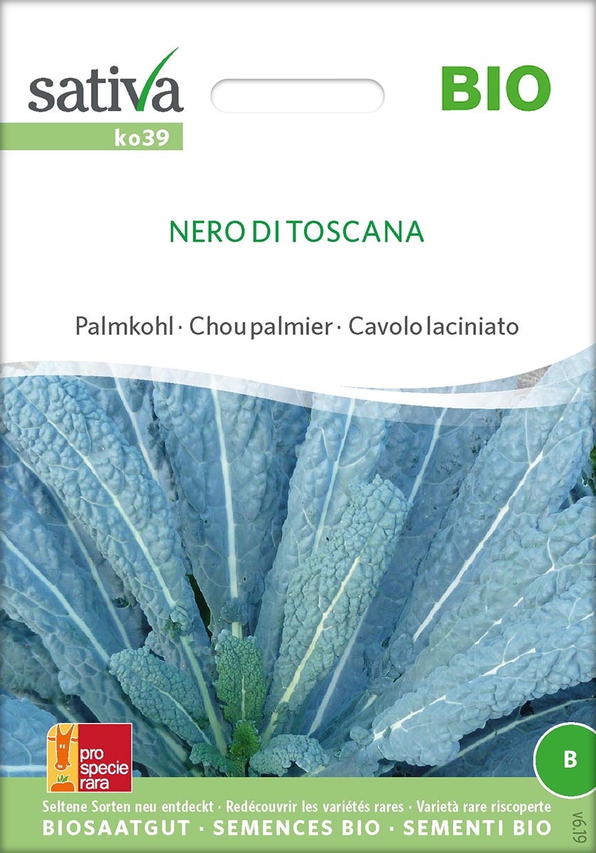 Saatgut Palmkohl Nero di Toscana -S-
