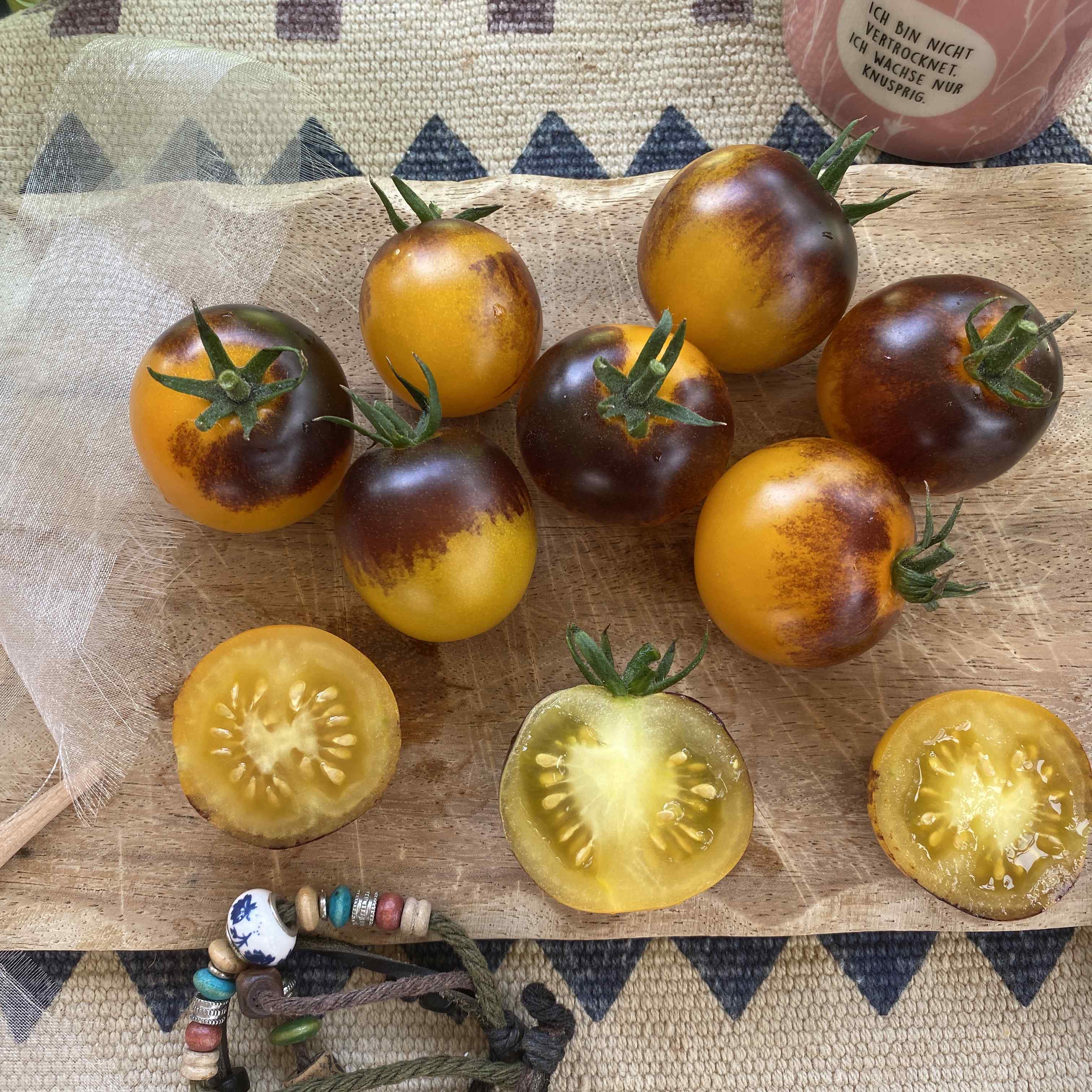 Tomatensaatgut Bleu Feu