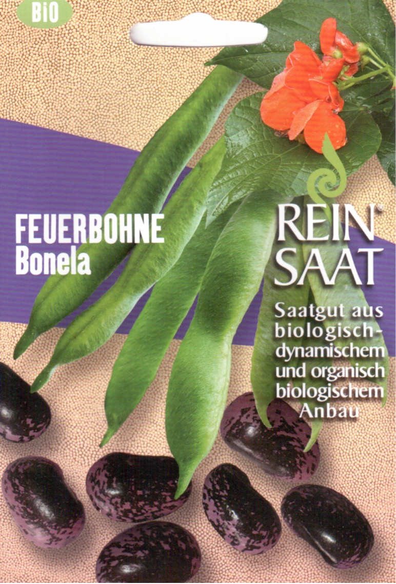 Saatgut Feuerbohne Bonela -R-