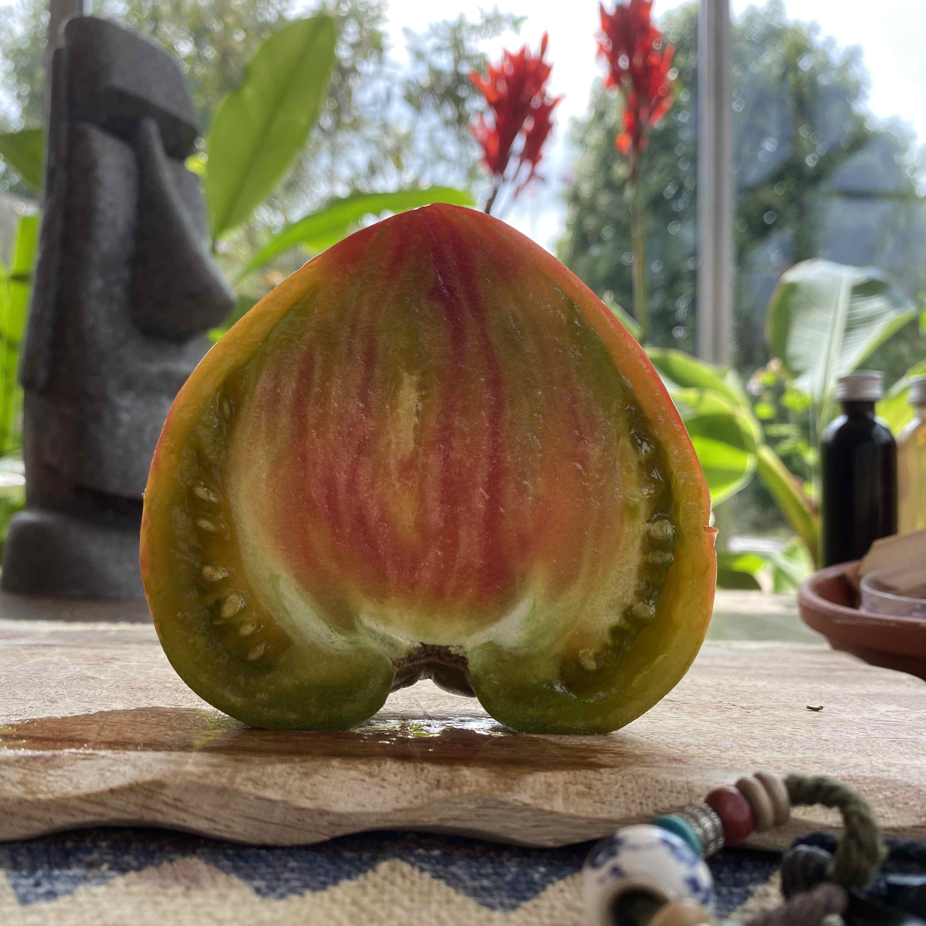 Tomatensaatgut Taiga