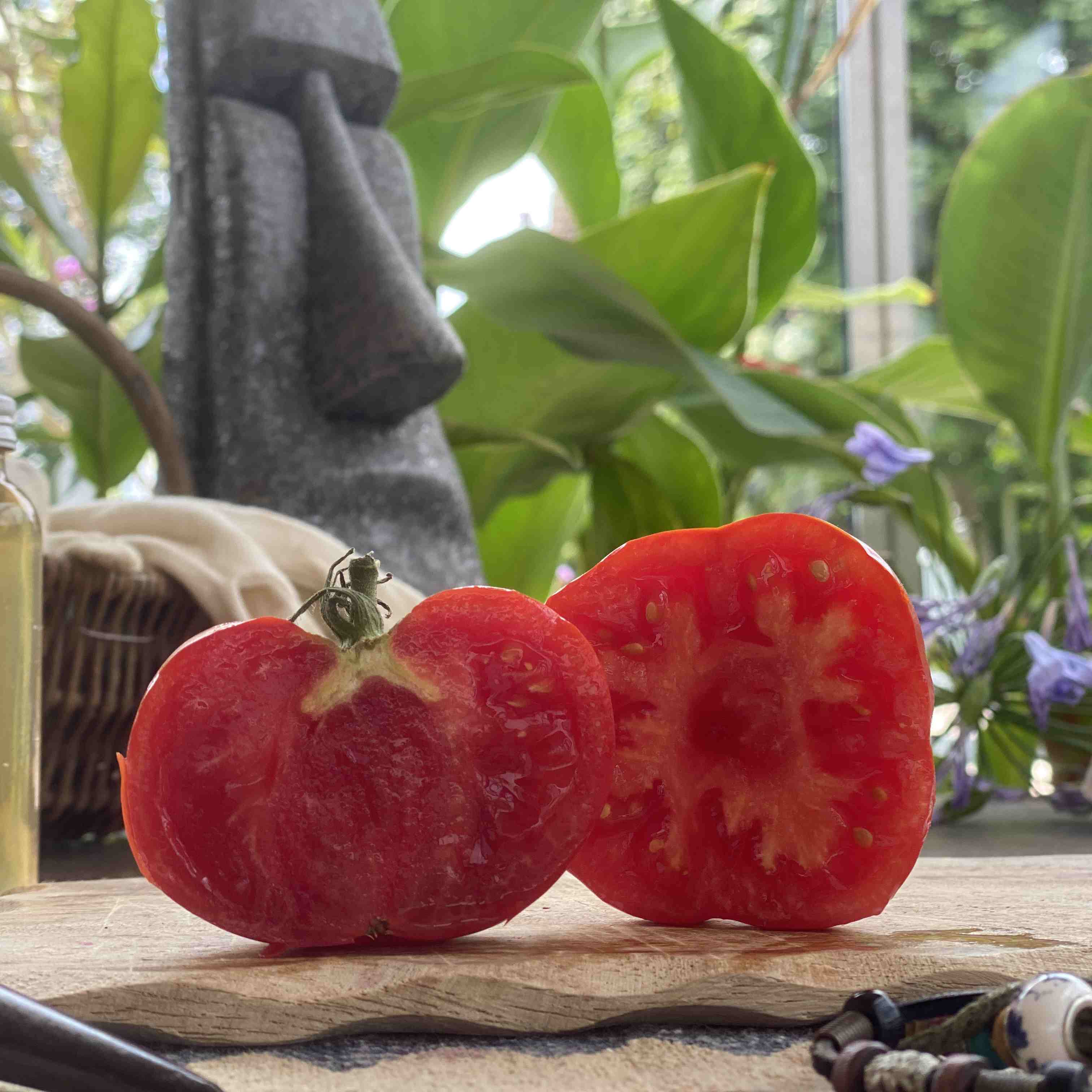 Tomatensaatgut Vierländer gerippt