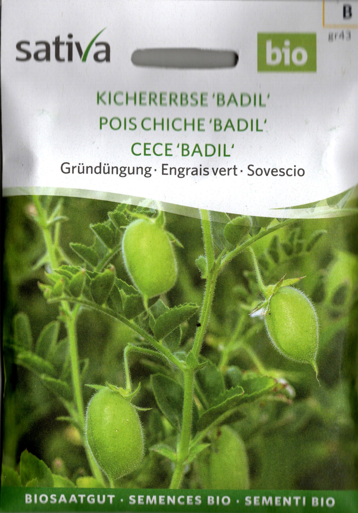 Saatgut Kichererbse Badil -S-