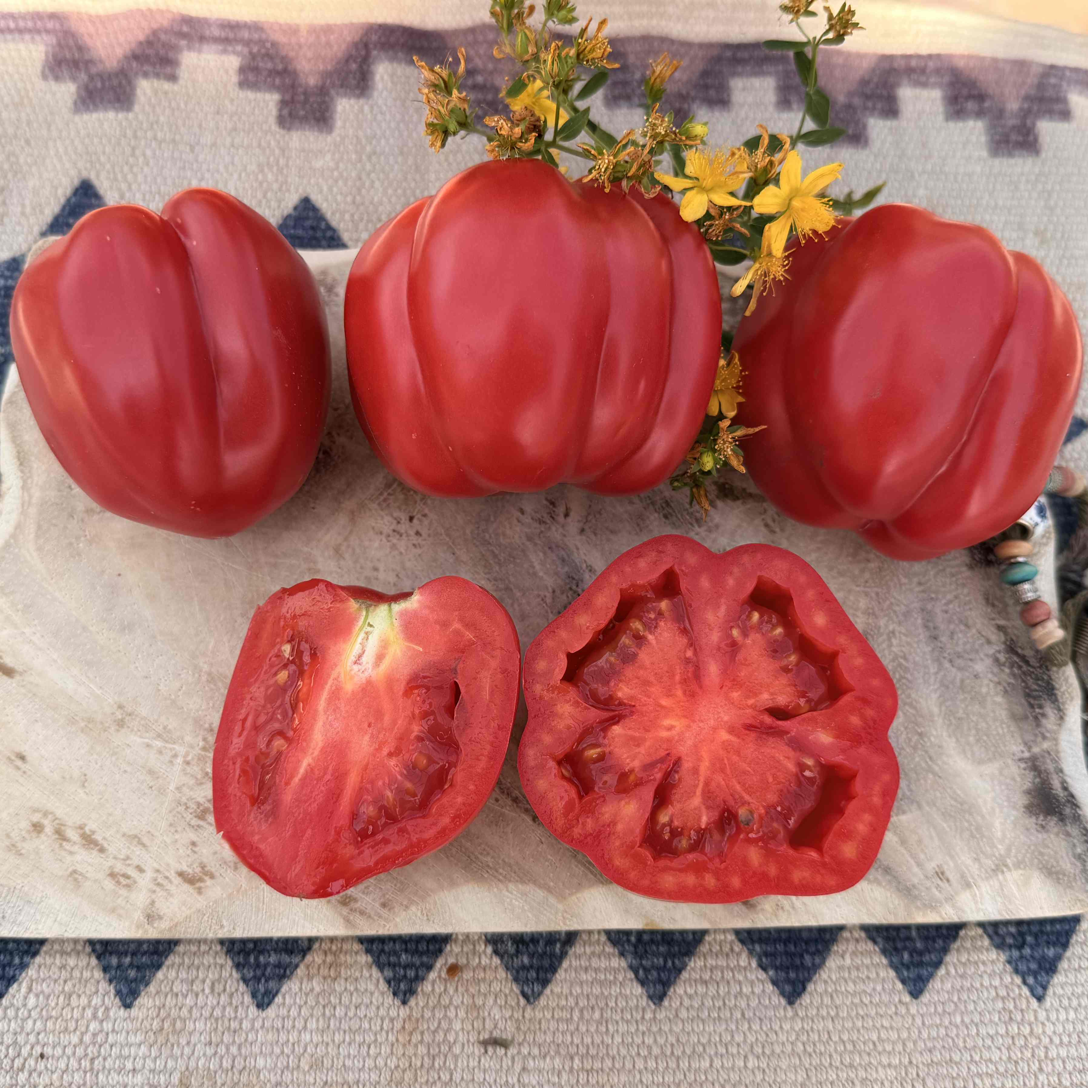 Tomatensaatgut Oaxacan Pink