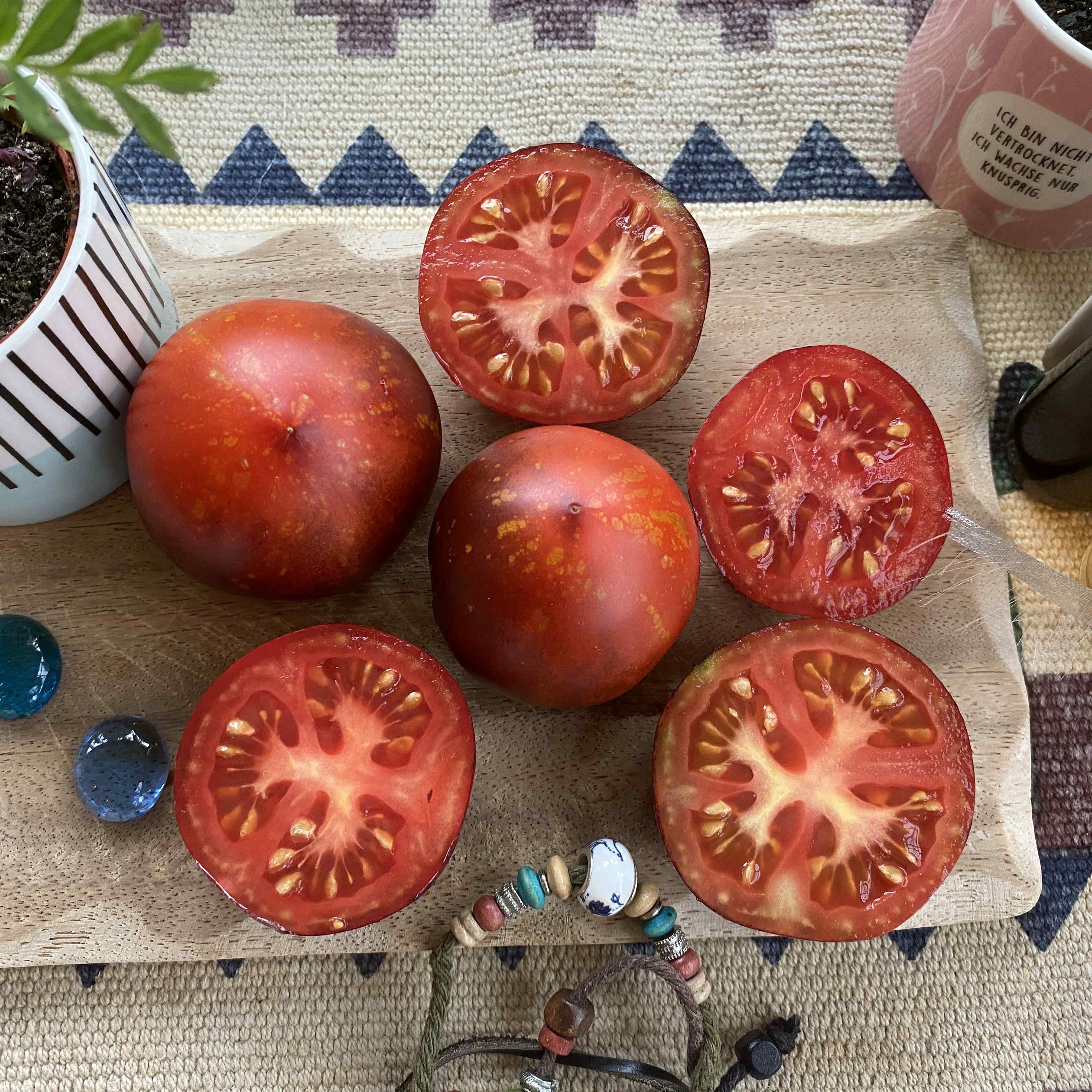 Tomatensaatgut Cosmos