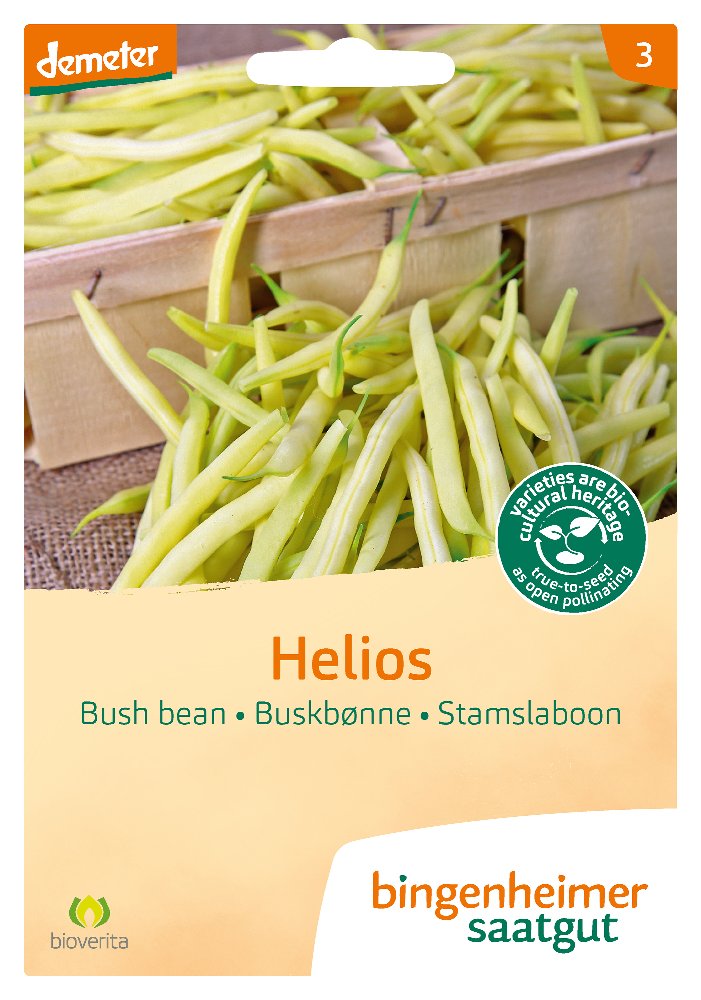 Saatgut Buschbohne Helios -B-